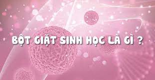 Nên lựa chọn bột giặt sinh học hay hữu cơ?